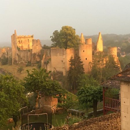 Chez Fred Avec Vue Sur Le Chateau Angles-sur-lʼAnglin Eksteriør bilde