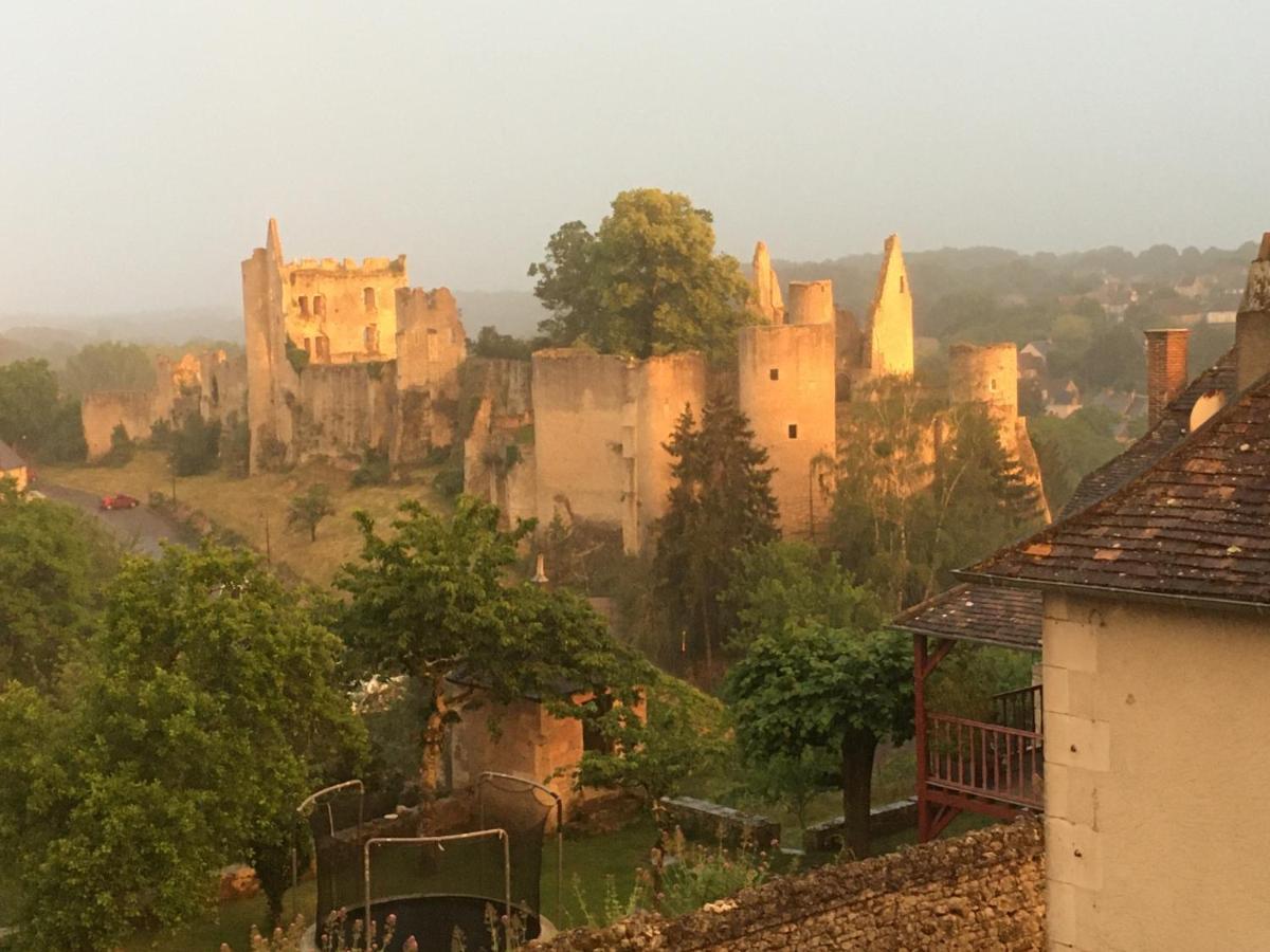 Chez Fred Avec Vue Sur Le Chateau Angles-sur-lʼAnglin Eksteriør bilde