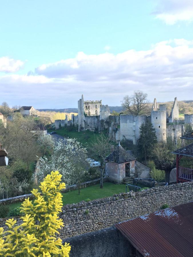 Chez Fred Avec Vue Sur Le Chateau Angles-sur-lʼAnglin Eksteriør bilde