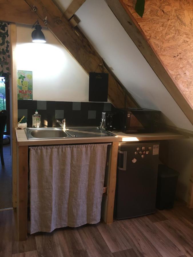 Chez Fred Avec Vue Sur Le Chateau Angles-sur-lʼAnglin Eksteriør bilde